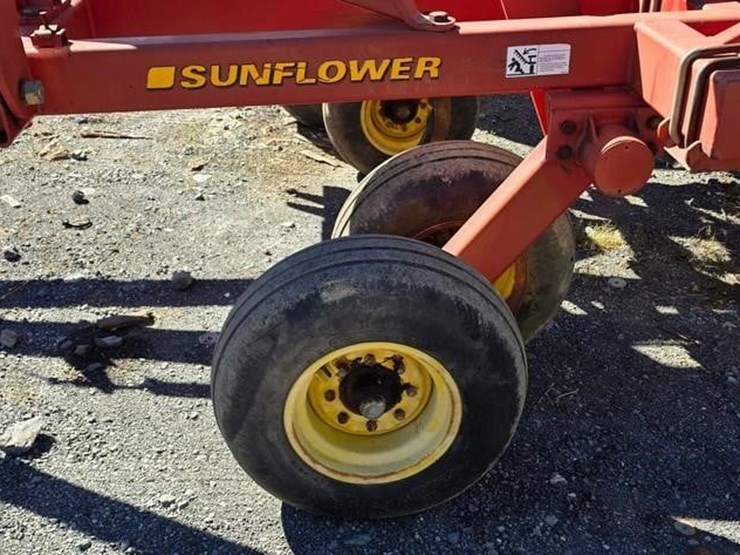 sunflower-4232-17-image-31