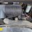 2016-case-sv300-image-38