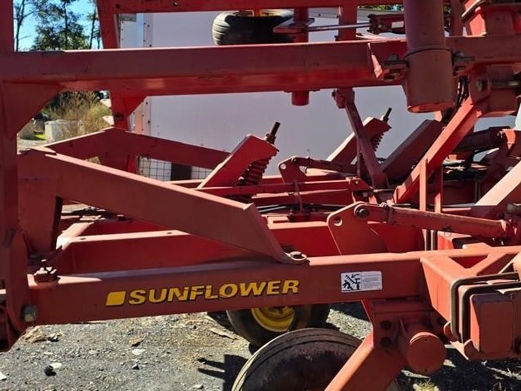 sunflower-4232-17-image-32