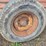 new-idea-214-image-17