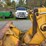 1987-deere-655b-image-37