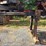 caterpillar-559b-ds-image-9