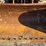 2016-case-521g-image-39
