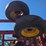 sunflower-4232-17-image-33
