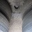 2018-great-dane-everest-ss-image-13