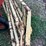 new-holland-rolabar-258-image-13