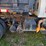2006-international-durastar-4300-image-23