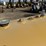 2019-lee-dt975-t/a-fuel-tank-trailer-image-10