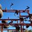 2003-krause-5630-28-image-41