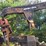 caterpillar-559b-ds-image-12
