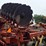 2005-krause-5821wr-image-23