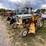 international-cub-image-2