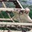 new-holland-rolabar-258-image-6