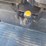 2017-kubota-rtv1140-image-40
