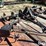 bush-hog-legend-2615-batwing-rotary-mower-image-17