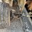 #4552-•-ford-f-650-flatbed-truck-image-11