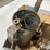 antique-shop-oil-containers/lube-cans-image-19