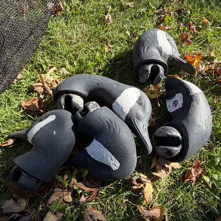 #8400 • Goose Decoys