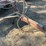 massey-ferguson-mf30-10'-wheel-disc-image-7