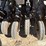 crustbuster-3400-45x8-drill-image-11