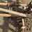 lilliston-3-pt-3-row-60"-rolling-cultivator-image-9