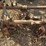 lilliston-3-pt-3-row-60"-rolling-cultivator-image-8