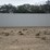 #l113-000-•-40ft-container-image-5