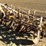 johnson-3-pt-3-row-60"-cultivator-image-1