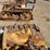 caterpillar-fifteen-image-9