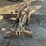 rhino-8'-3-pt-6-way-angle-blade-image-8