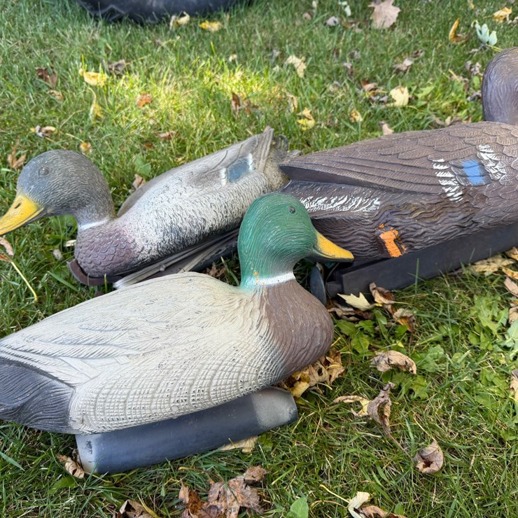#8403 • Duck Decoys