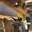 caterpillar-10-image-16