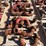(11x$)-(2-pallets)-3”-1502-style-50-chiksans-image-1