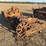 caterpillar-thirty-image-1