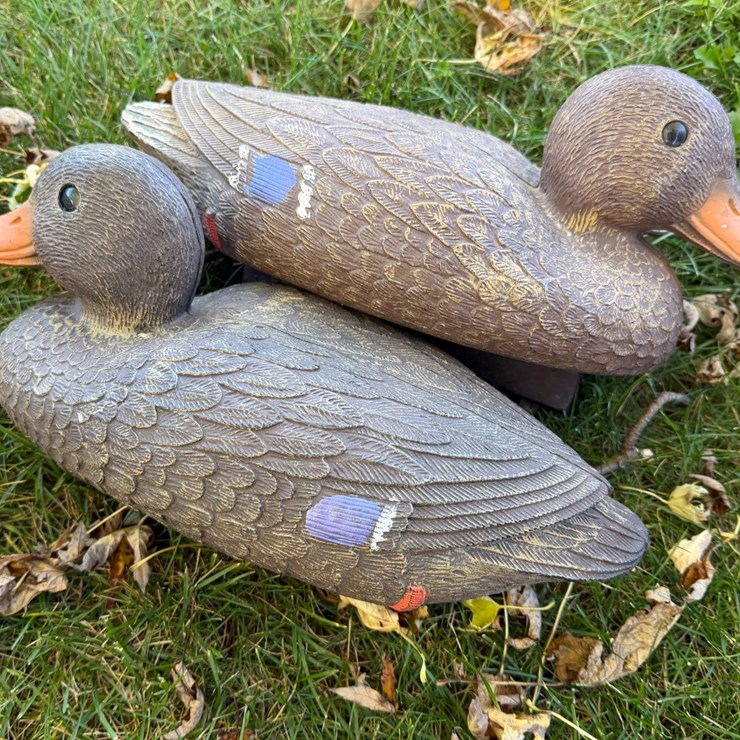 #8404 • Duck Decoys