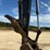 2022-john-deere-200g-excavator-(2,224-hours)-image-25