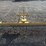 king-kutter-tyr-84-yk-7'-yard-rake-image-4