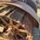caterpillar-thirty-image-11