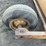 towner-12'-drag-box-scraper-image-11