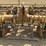 alloway-2040-3-pt-3-row-60"-cultivator-image-8