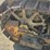 caterpillar-thirty-image-9