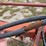international-720-plow-image-13