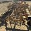 alloway-3-pt-3-row-60"-cultivator-image-4