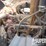 2009-mack-gu713-t/a-bed-truck-image-5