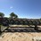 sitrex-magnum-mke14-16-16-wheel-v-rake-image-4
