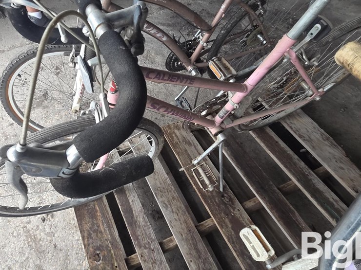 schwinn/trek/huffy-bicycles-image-12