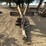 universal-14'x30'-triplane-image-2