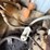 #42224-•-trash-compactor-image-22