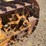caterpillar-thirty-image-8