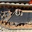 #4095-•-2019-cormidi-c1500-s3-mini-track-loader-image-40